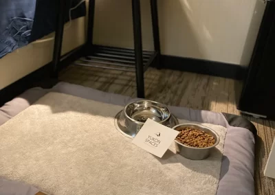 dog bowl filled with food on a dog bed